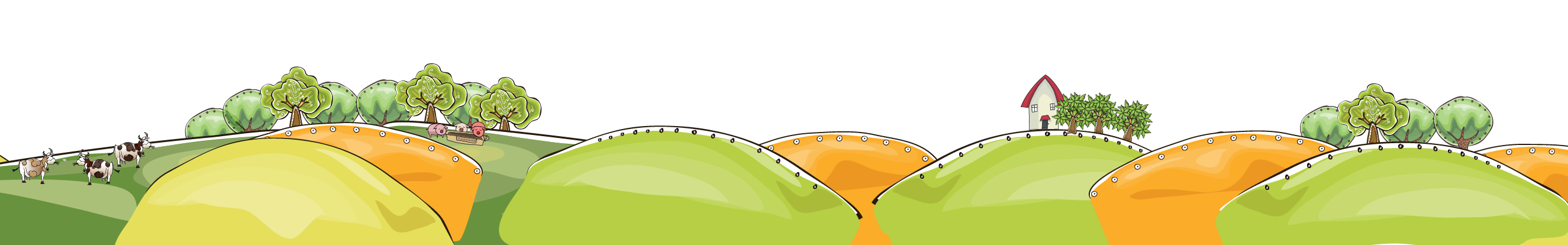 website-fields-decoration