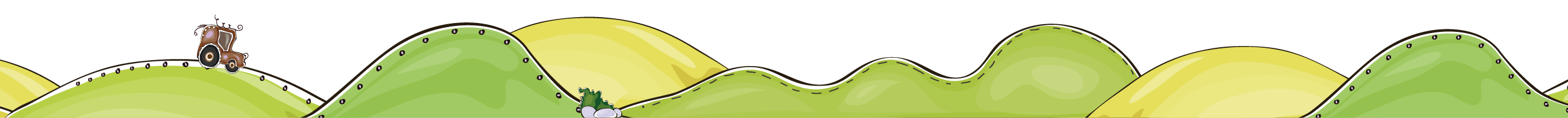 website-field-decoration